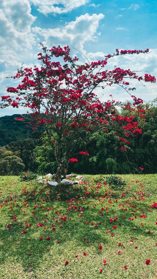 Вілла Chale Hibisco Amarelo Жукітіба Екстер'єр фото